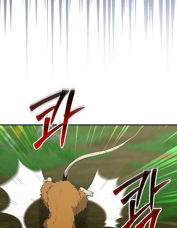 Reincarnated as a Genius Prodigy of a Prestigious Family ตอนที่ 14 5