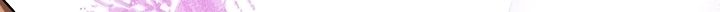 High School Musical Genius Is Paganini Reincarnated ตอนที่ 24 120