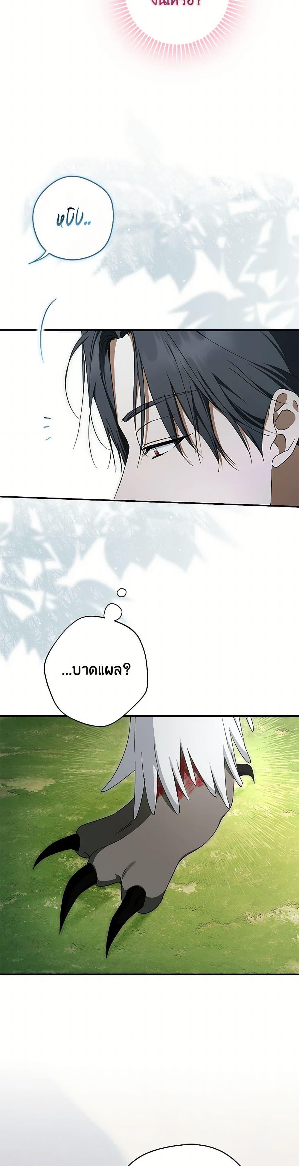 An Extra Stole the Male Leads ตอนที่ 60 46