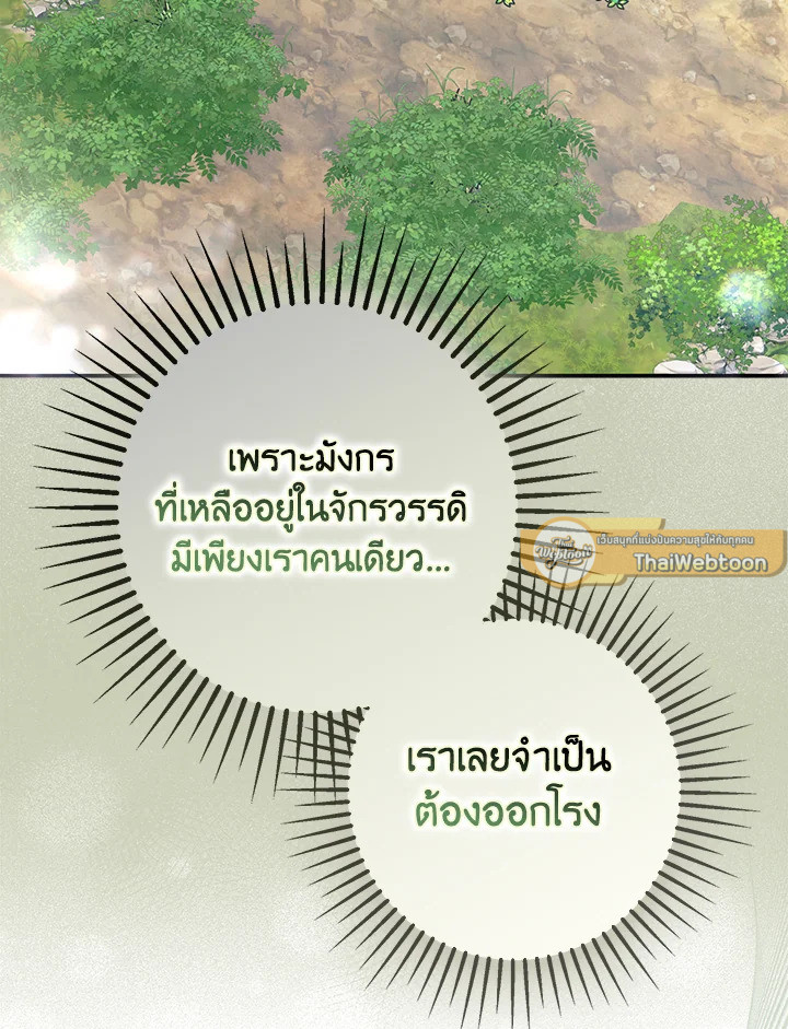 An Extra Stole the Male Leads ตอนที่ 62 44