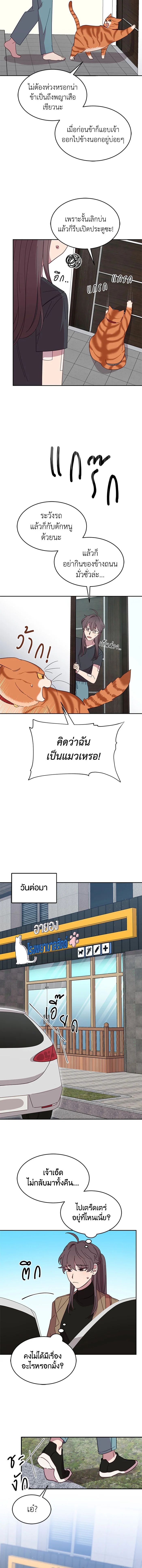 An Animal Hospital in the Border Area ตอนที่ 8 8