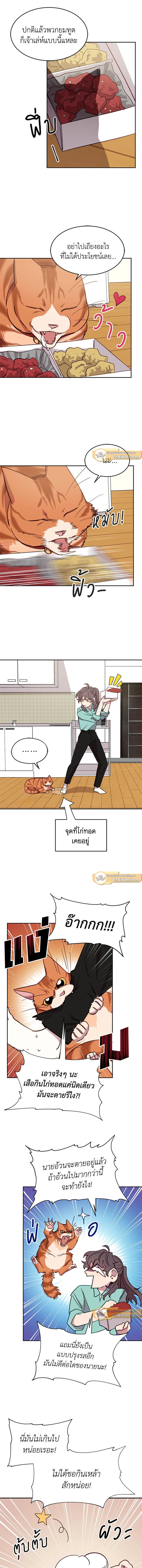 An Animal Hospital in the Border Area ตอนที่ 16 9