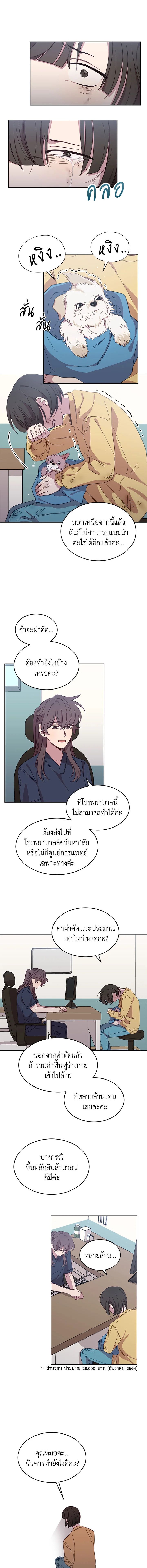 An Animal Hospital in the Border Area ตอนที่ 18 6