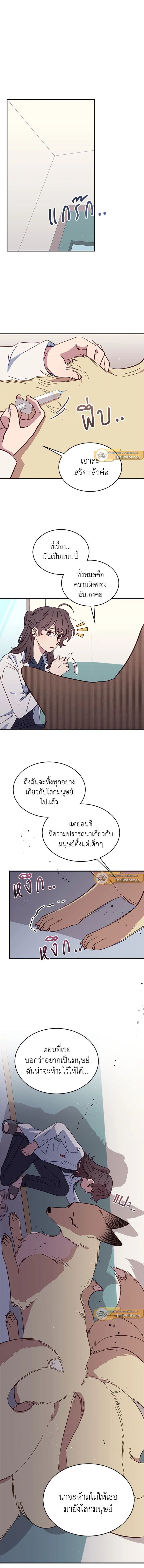 An Animal Hospital in the Border Area ตอนที่ 27 7