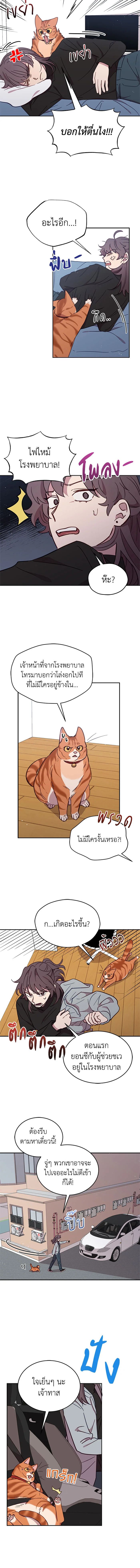 An Animal Hospital in the Border Area ตอนที่ 28 4