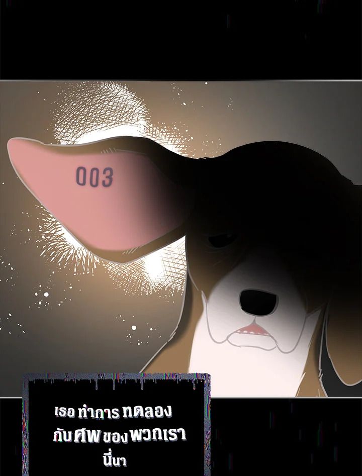 An Animal Hospital in the Border Area ตอนที่ 72 42