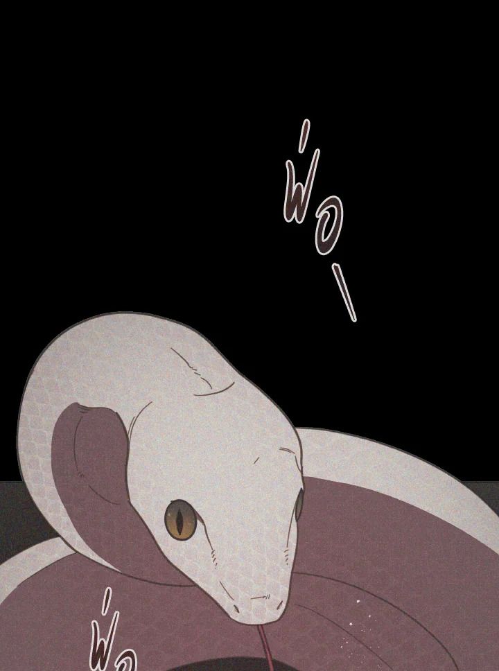 An Animal Hospital in the Border Area ตอนที่ 100 84