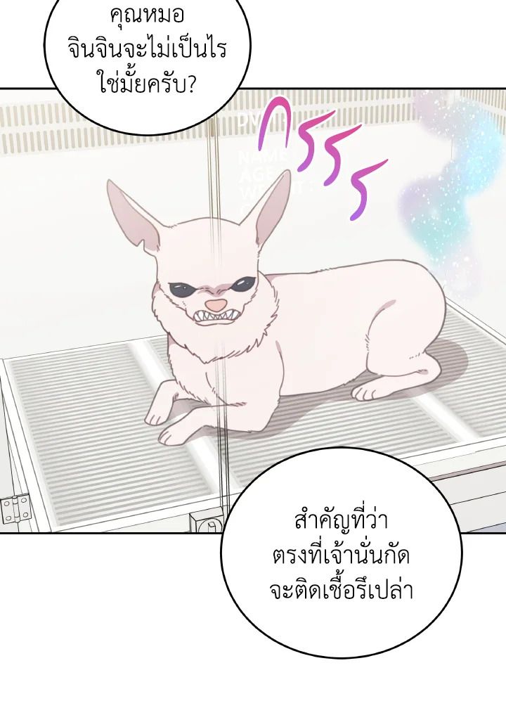 An Animal Hospital in the Border Area ตอนที่ 116 29