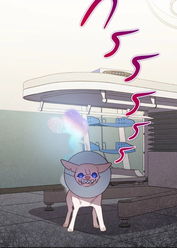 An Animal Hospital in the Border Area ตอนที่ 116 64