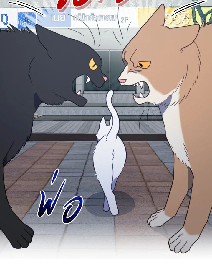 An Animal Hospital in the Border Area ตอนที่ 118 4