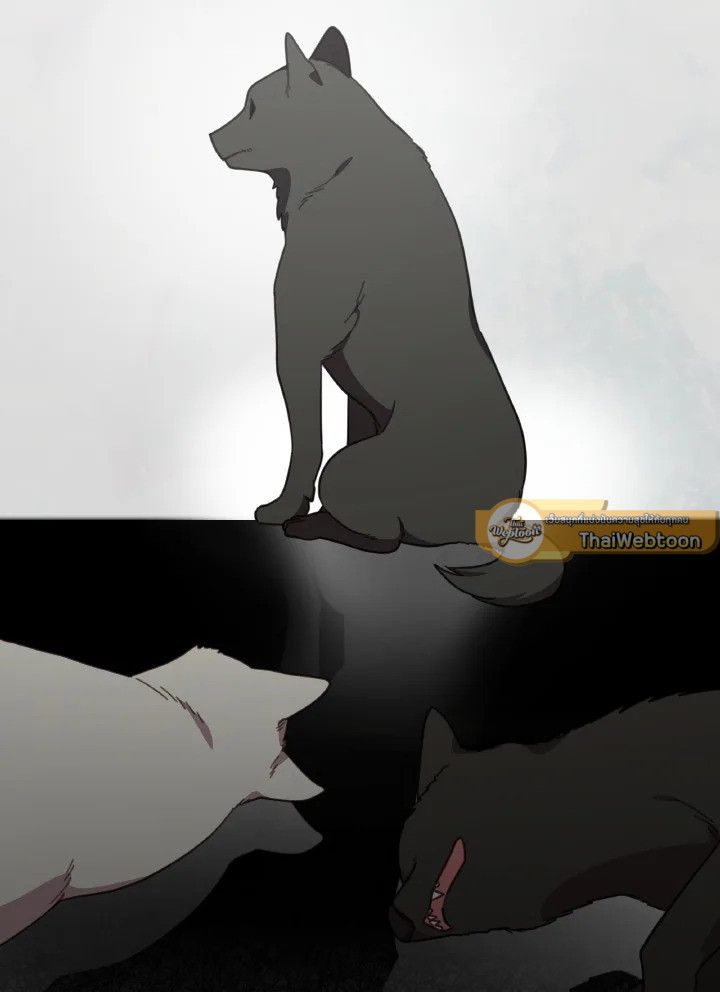 An Animal Hospital in the Border Area ตอนที่ 144 75