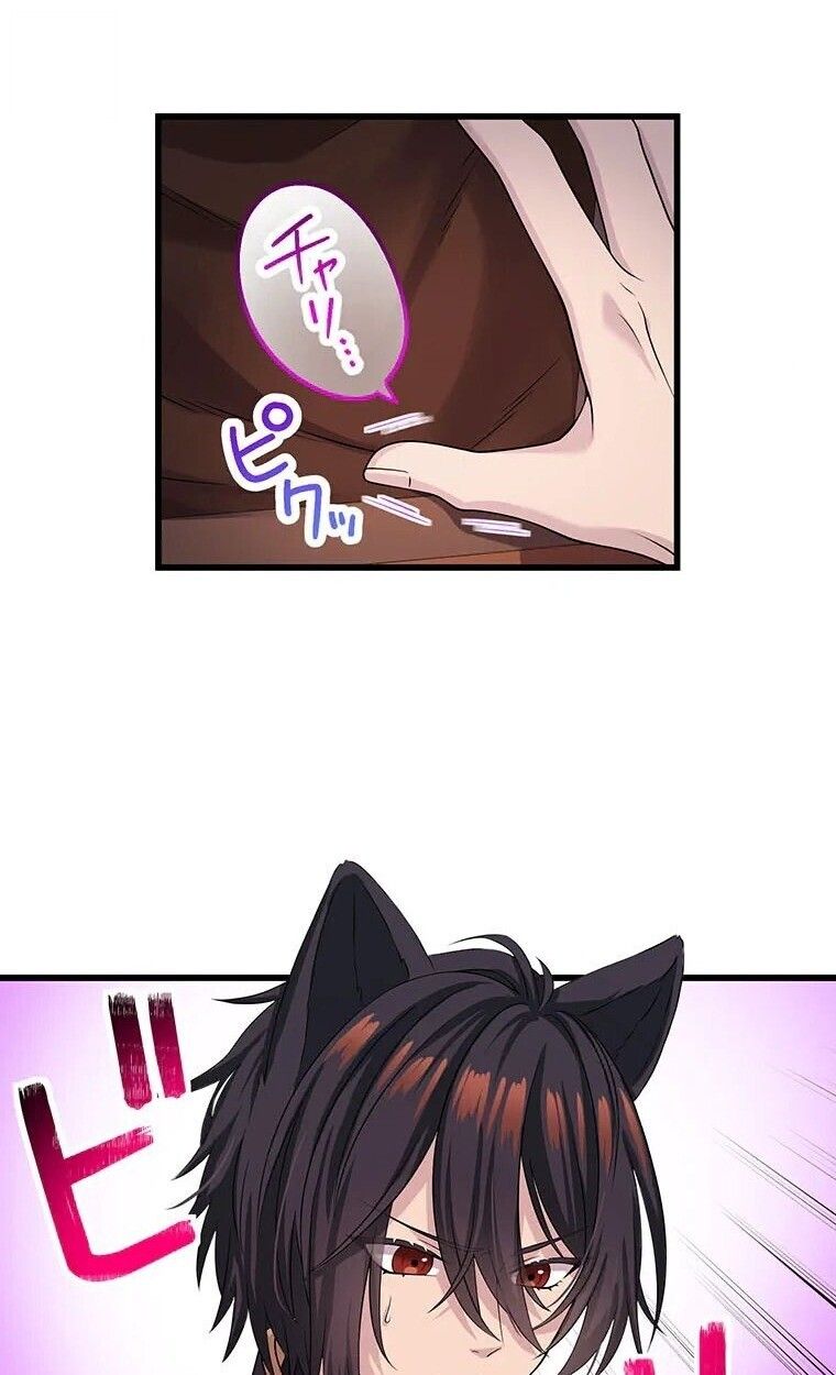 The Legendary Assassin Reincarnated as the Beloved Youngest Daughter of a Royal Family ตอนที่ 74 25