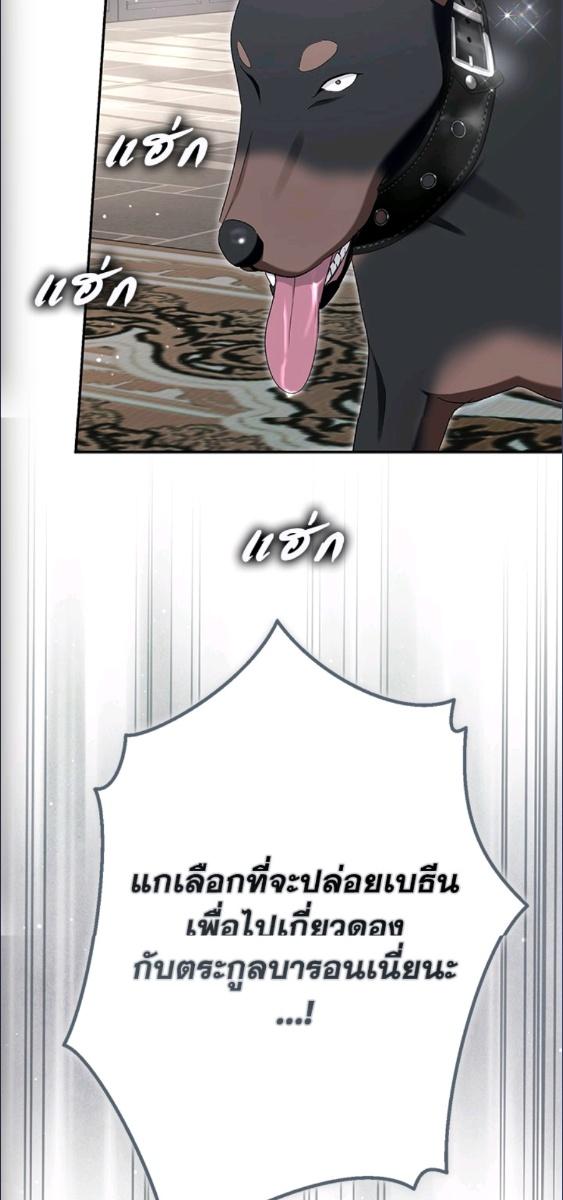 An Extra Stole the Male Leads ตอนที่ 65 34