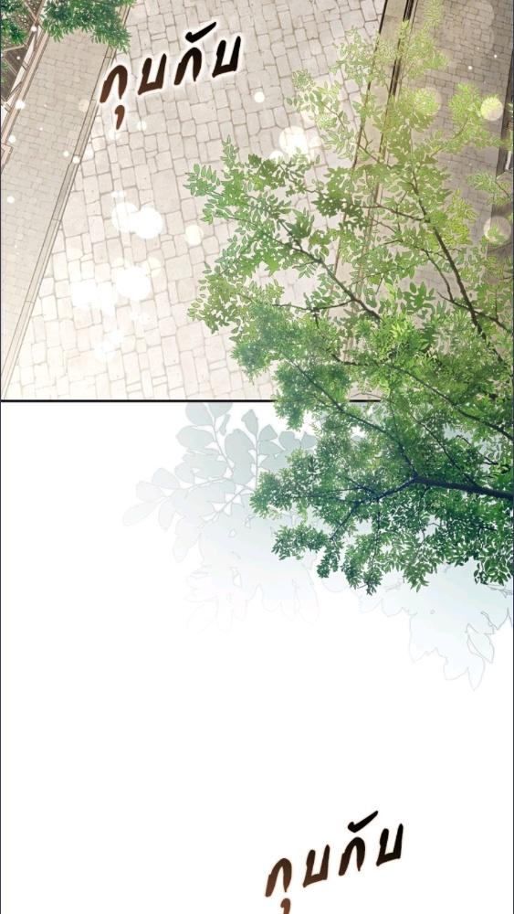 An Extra Stole the Male Leads ตอนที่ 67 47