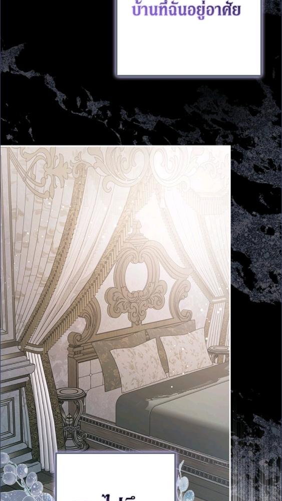 An Extra Stole the Male Leads ตอนที่ 70 38