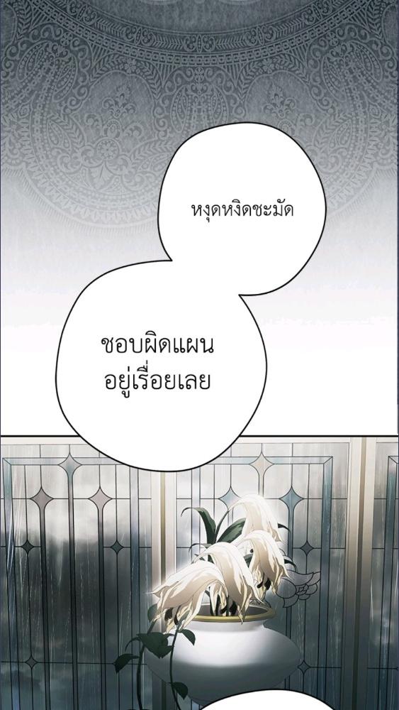 An Extra Stole the Male Leads ตอนที่ 70 108