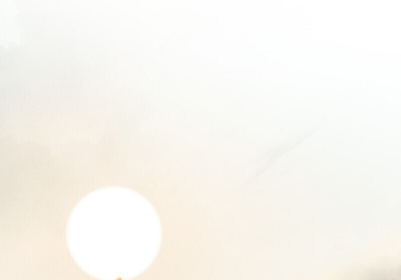 Childhood Friend Zenith ตอนที่ 85 16