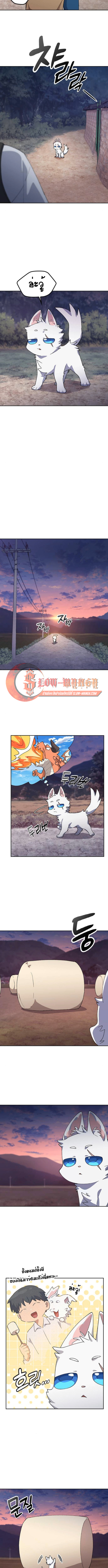 Healing Life Through Camping In Another World ตอนที่ 87 5