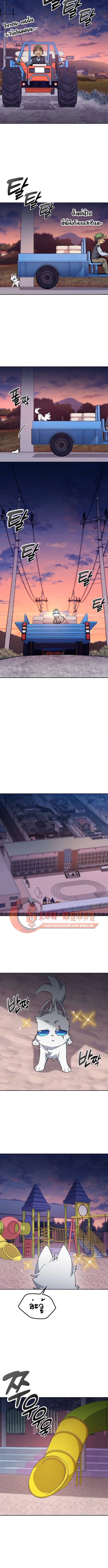 Healing Life Through Camping In Another World ตอนที่ 87 7