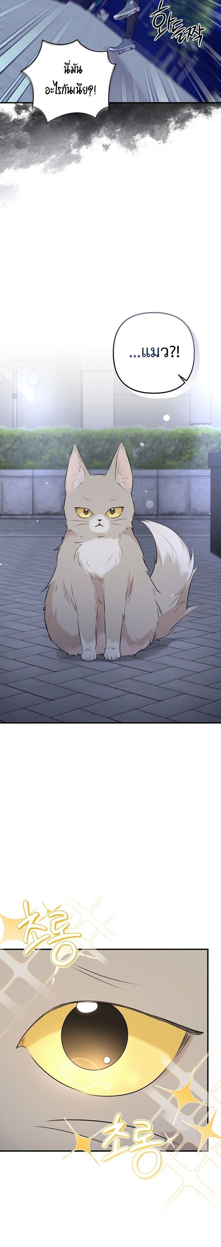 Starting Today, I’m the Butler of Five Men ตอนที่ 1 25