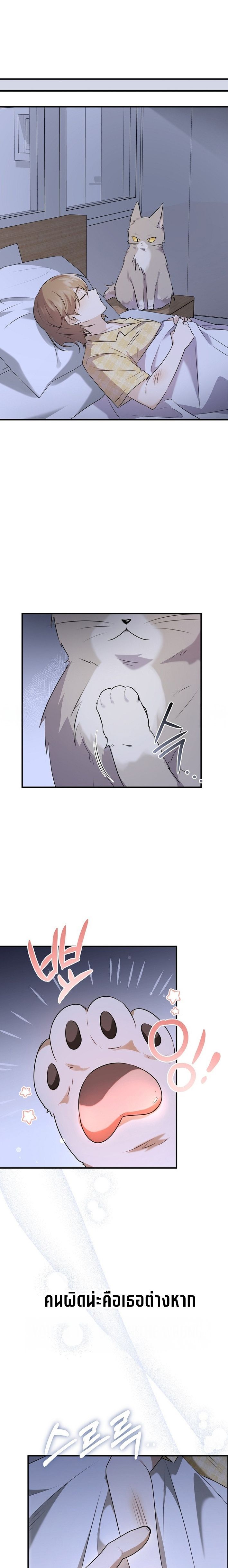 Starting Today, I’m the Butler of Five Men ตอนที่ 1 34